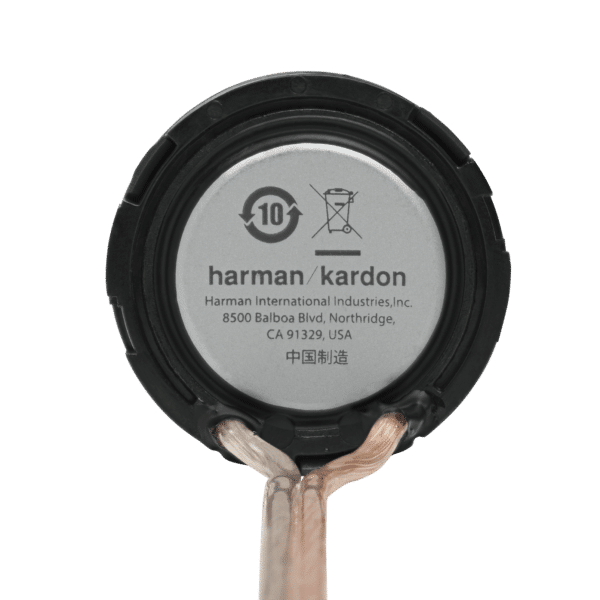 Loa Harman/Kardon FLOW75T - Ảnh 2