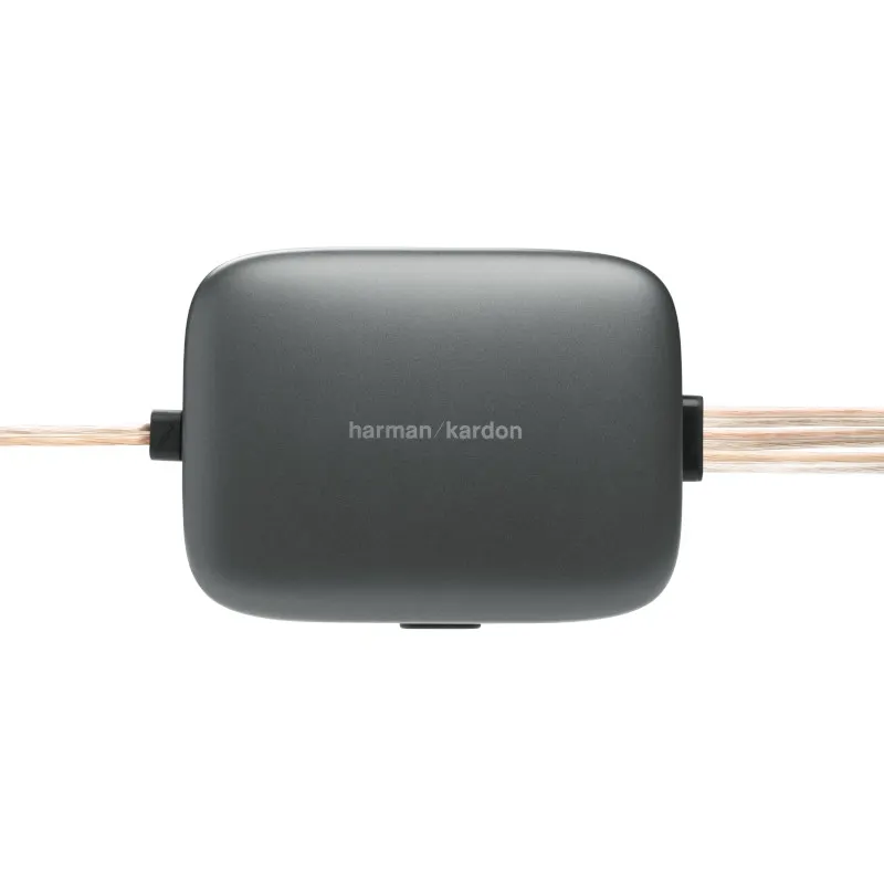 Loa Harman/Kardon FLOW 600CF - Ảnh 2