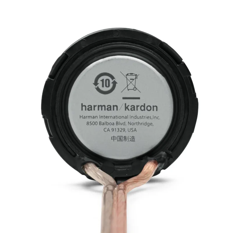 Loa Harman/Kardon FLOW 600CF - Ảnh 9