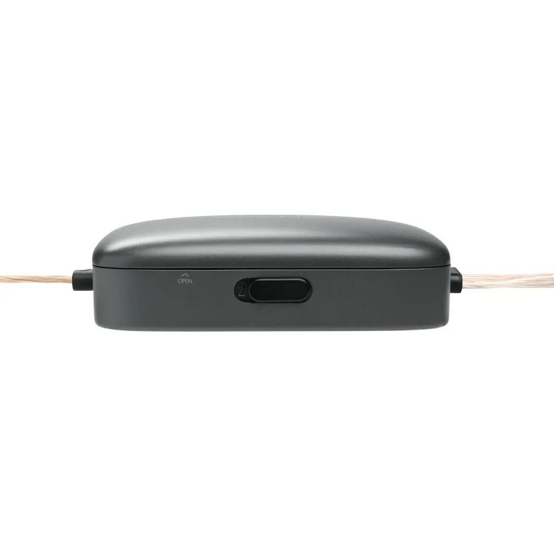 Loa Harman/Kardon FLOW 600CF - Ảnh 4