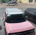Baga VF3 Rhino nhôm trắng  - ảnh 1