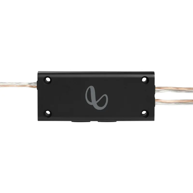 Loa Infinity INFSPKKA603CF - Ảnh 2