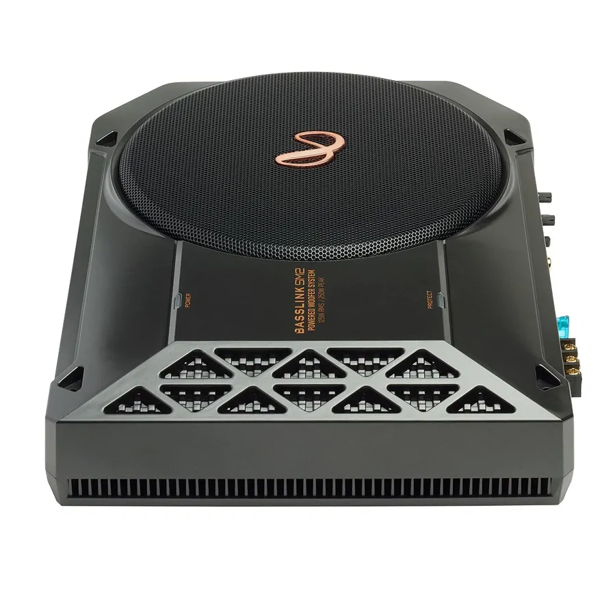 Sub Infinity Basslink SM2 - Ảnh 2