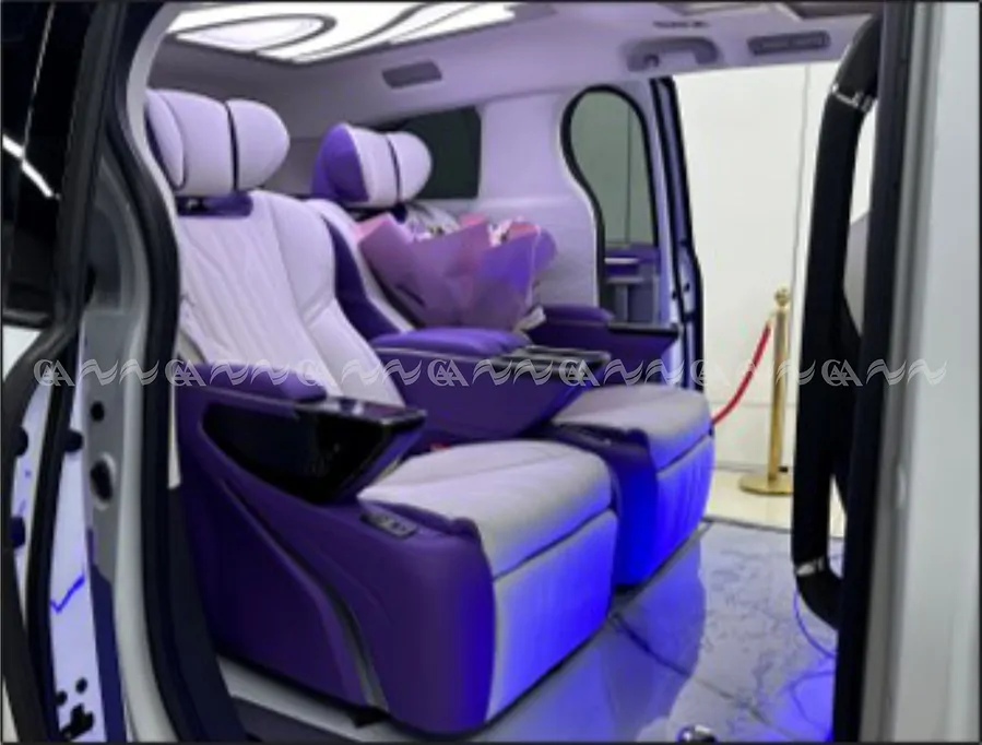 Ghế Limousine Divine DVL02 - Skylon Air Seat - Ảnh 18