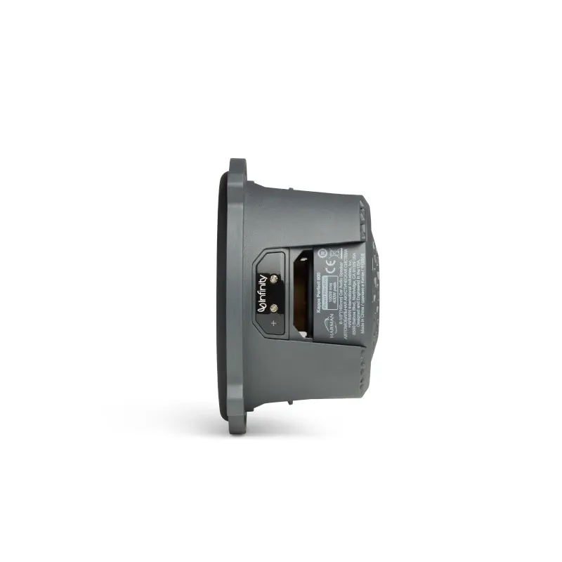Loa Infinity PERFECT 600 - Ảnh 5