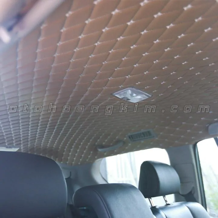 Bọc trần 5D Ford Ranger - BTO025 - Ảnh 4