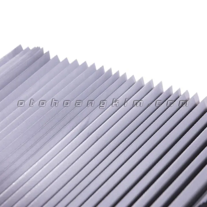 Che nắng kính lái F1 - Ảnh 2