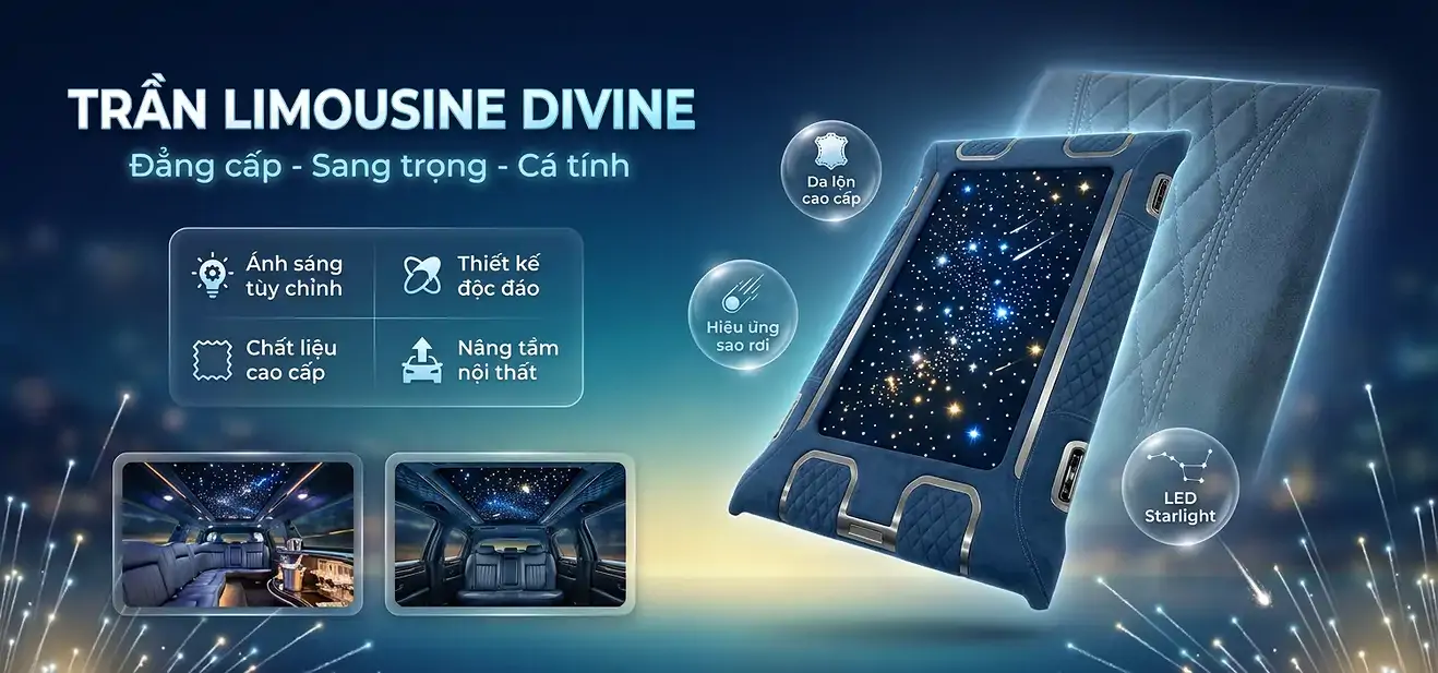Trần Limousine Divine