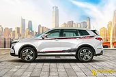 Tem Xe Ford Territory - FTE005