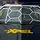 XPEL