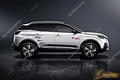 Tem Xe Peugeot 3008 - P38008