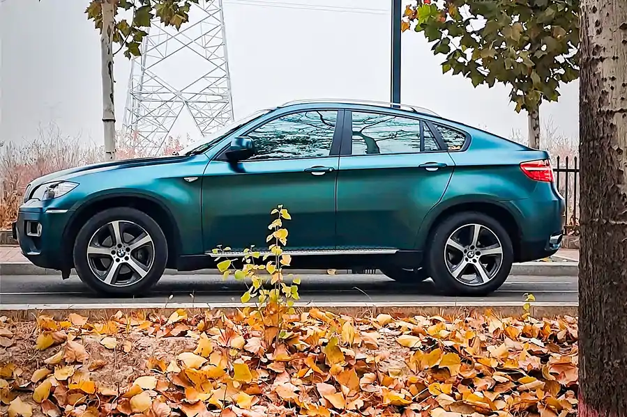 Decal Teckwrap Forest Green ECH19  - Ảnh 5