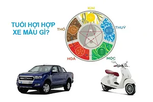 tuoi-hoi-hop-xe-mau-gi
