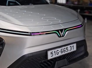 Led cánh chim Limo Green (Trước)  - Ảnh 2