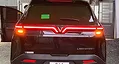 Led cánh chim Limo Green (Sau)  - ảnh 1