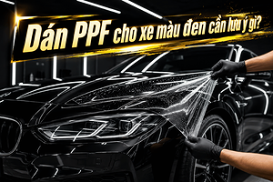 luu-y-khi-dan-ppf-xe-mau-den-giup-son-luon-bong-loang