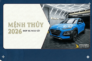 nguoi-menh-thuy-2026-hop-xe-mau-gi-de-hanh-thong--tai-loc