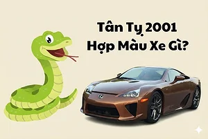 tan-ty-2001-hop-xe-o-to-mau-gi-2026-nam-mang-nu-mang