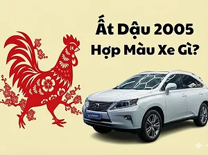 at-dau-2005-hop-xe-o-to-mau-gi-2026-mau-hop-ky-theo-phong-thuy