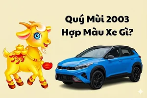 quy-mui-2003-hop-xe-o-to-mau-gi-2026-nam-mang-nu-mang