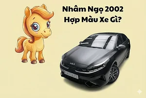 nham-ngo-2002-hop-xe-o-to-mau-gi-2026-nam-mang-nu-mang