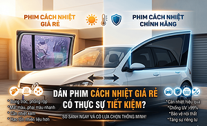 dan-phim-cach-nhiet-gia-re-co-thuc-su-tiet-kiem