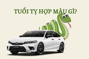 nam-nu-tuoi-ty-hop-mau-gi-mau-o-to-hop-phong-thuy