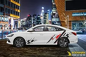 Tem Xe Mg5 - MG5008
