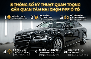 5-thong-so-ky-thuat-quan-trong-can-quan-tam-khi-chon-ppf-o-to