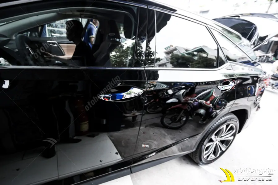 Tay cửa Lexus Rx [2019 - 2020] - Ảnh 6