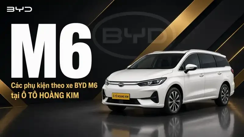 BYD M6