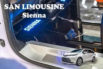 Sàn Limousine Sienna vân đá DVF102 - Nâng tầm nội thất xe