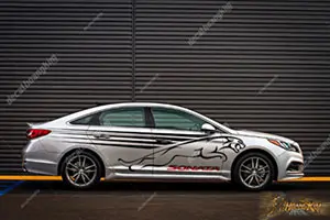 Tem Xe Hyundai Sonata - HSO001