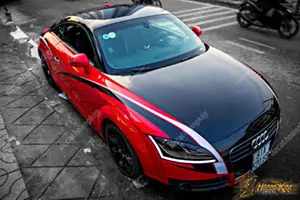 Tem Xe Audi Tt - AUD002