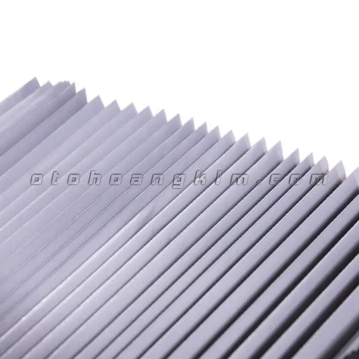 Che nắng kính lái F1 - Ảnh 2