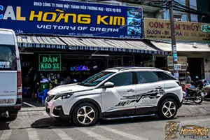 Tem Xe Peugeot 3008 - P38006
