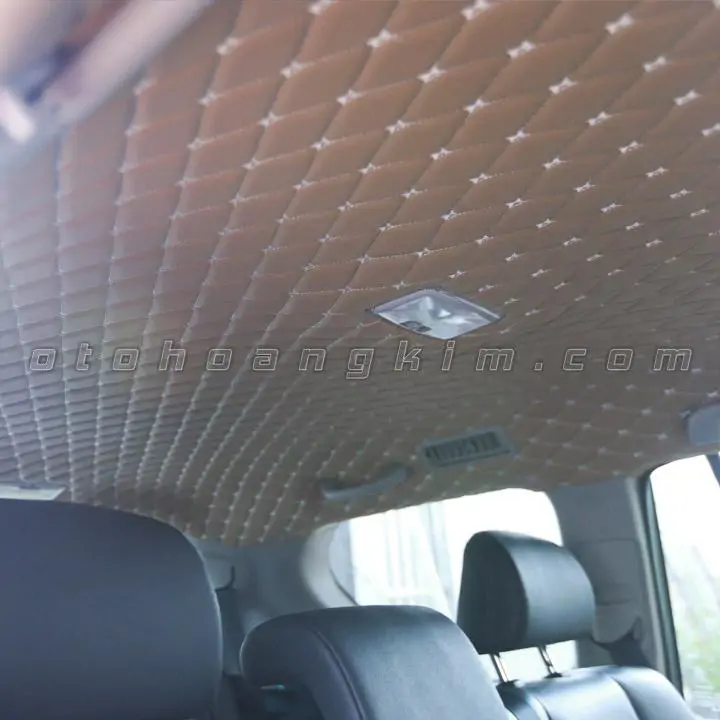 Bọc trần 5D Ford Ranger - BTO025 - Ảnh 4