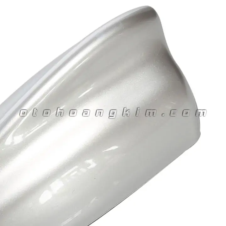 Đuôi cá ăng ten lớn màu bạc - Ảnh 2