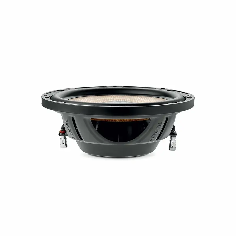 Sub Focal P25 FSE - Ảnh 2
