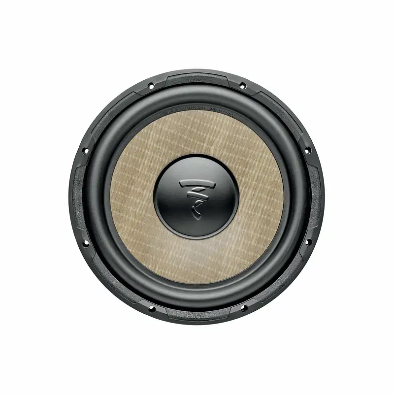 Sub Focal P25 FSE - Ảnh 3