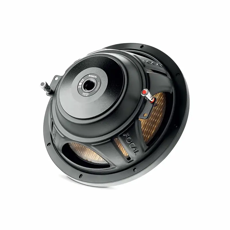 Sub Focal P25 FSE - Ảnh 4
