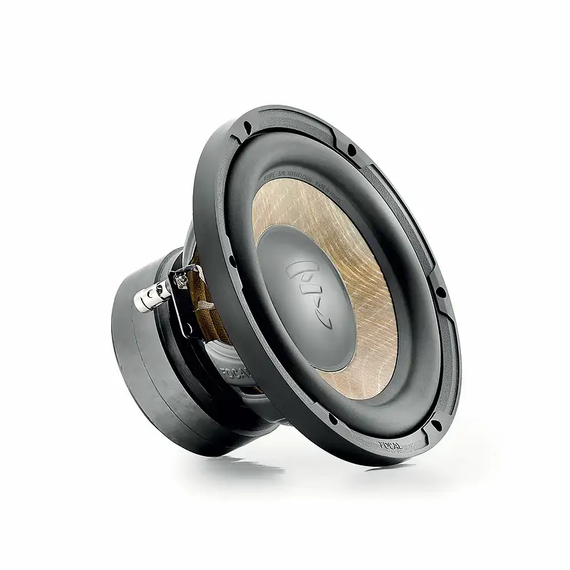 Sub Focal P20 FE - Ảnh 2
