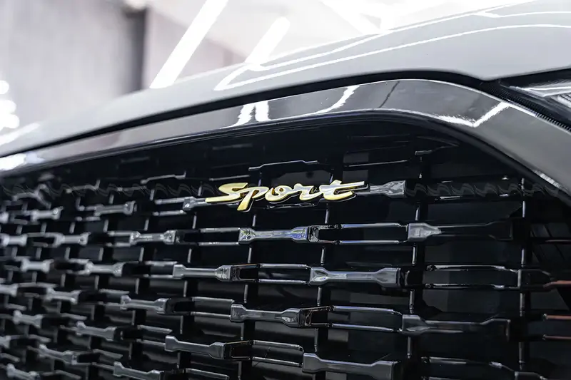 Mặt ca lăng Ford Everest [2016-2020] Sọc Caro - Ảnh 5