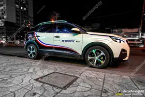 Tem Xe Peugeot 3008 - P38024