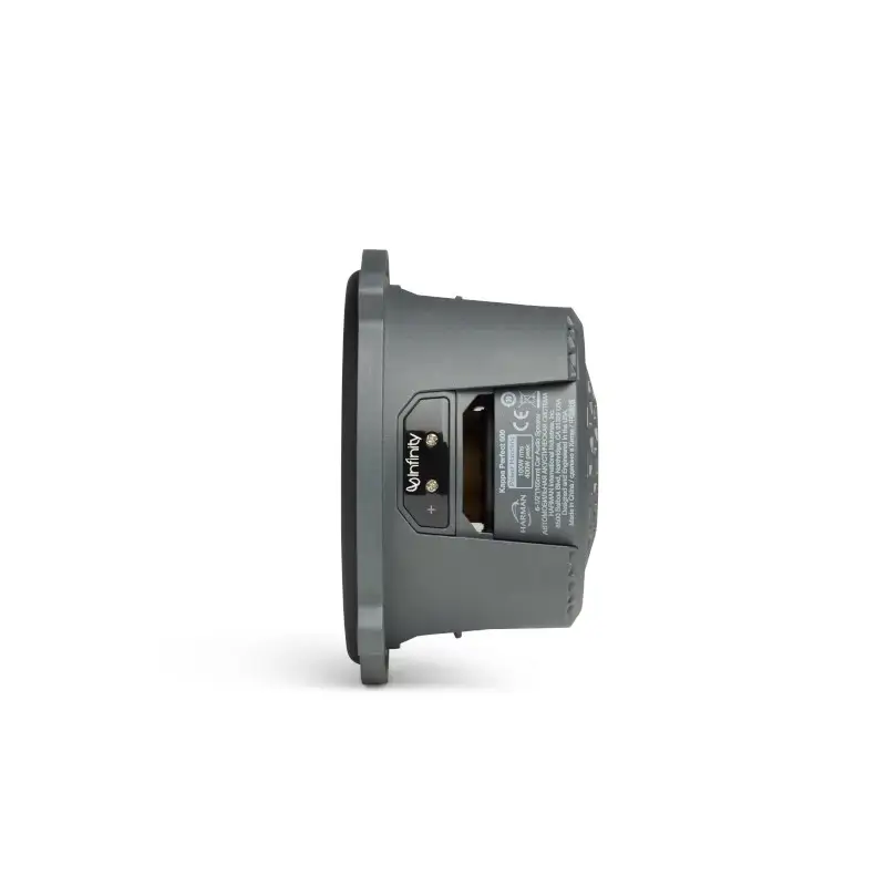 Loa Infinity PERFECT 600 - Ảnh 5