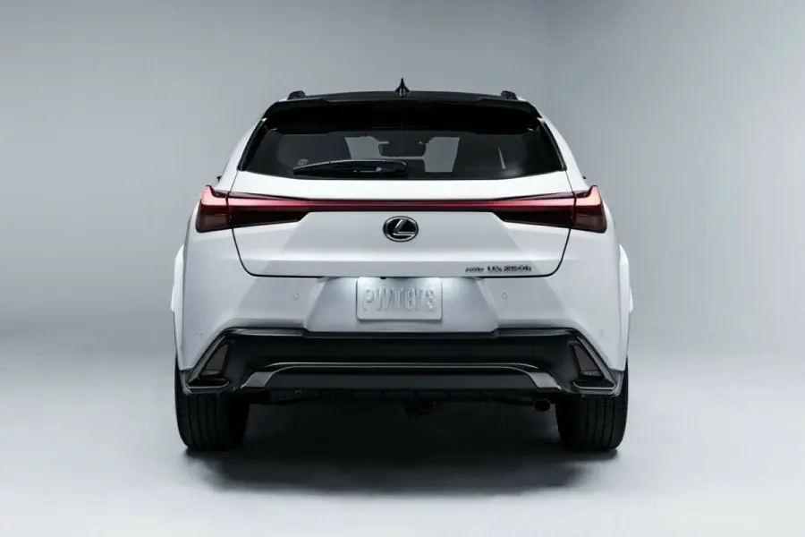 https://otohoangkim-storage.sgp1.cdn.digitaloceanspaces.com/lexus-ux-250h-2024-mot-chiec-hybrid-sang-trong-voi-gia-ca-phai-chang-5-900x900.webp