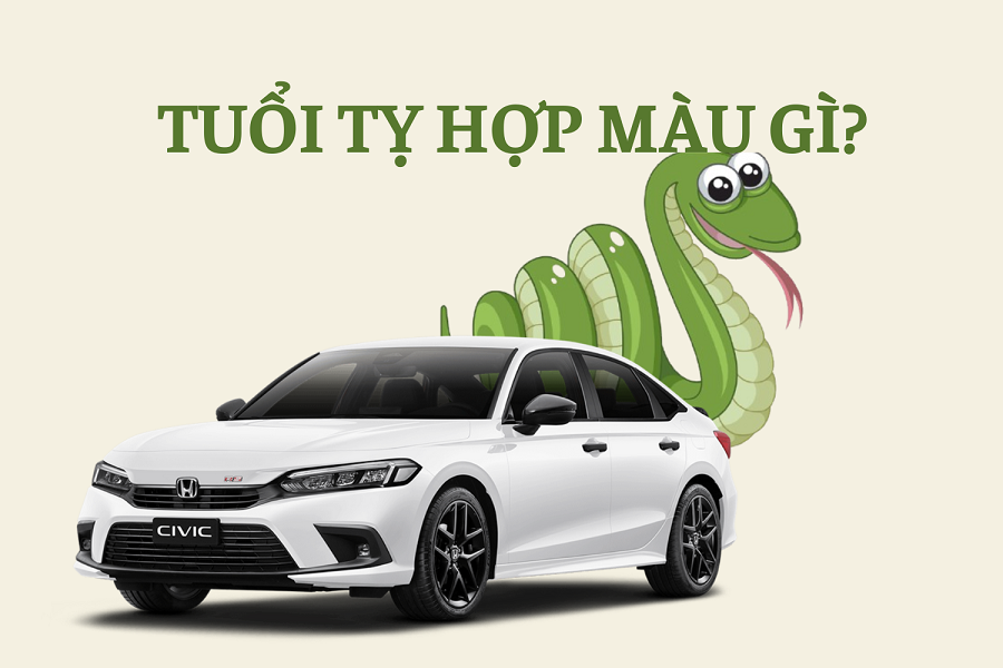 tuoi-ty-hop-mau-gi