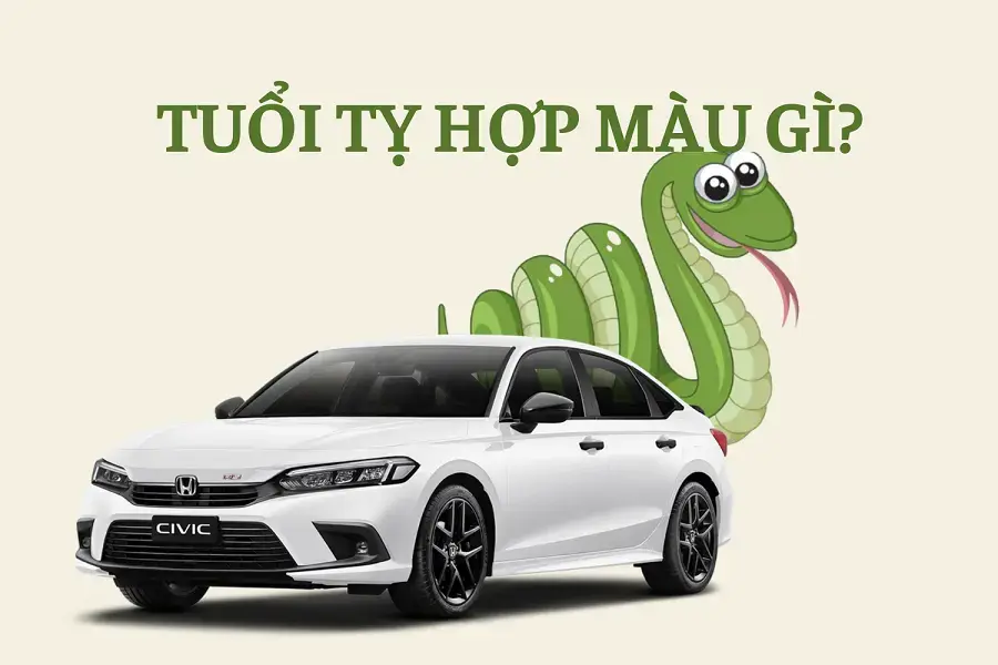 Tuổi Tỵ hợp màu gì?