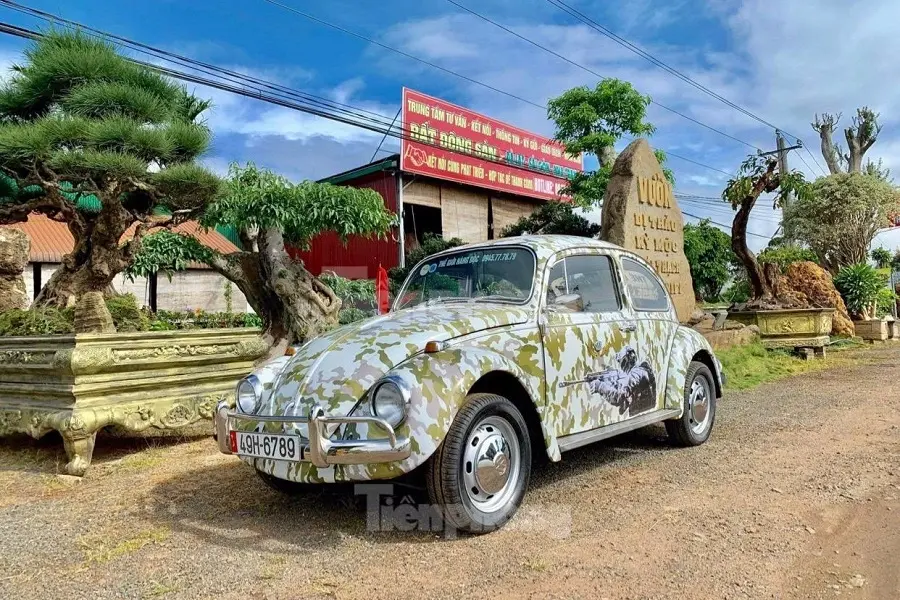 https://otohoangkim-storage.sgp1.cdn.digitaloceanspaces.com/xe-co-volkswagen-beetle-bien-so-sanh-tien-tai-da-lat-1-900x900.webp